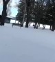 Ice Skating Through Trees