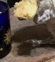 Cockatoo Knows the Best Way to Eat Biscotti