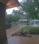 Doorbell Camera Captures Lightning Striking Tree