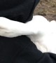 Rescued Duck Cuddles and Gives Happy Honks