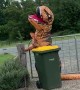 Taking out the Trash in a T-Rex Costume