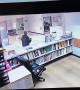 Deer Got Into a Modern Office in San Diego Area