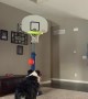 Dog Bounces Basketball into Hoop Off Its Nose