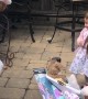 Toddler Unsure about the Easter Bunny