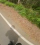 Motorbike Rider Rescues Echidna From Road