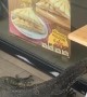 Huge Lizard Tries to Enter Convenience Store