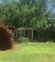 Intense Storm Blows Trees into Houses in South Carolina