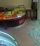 Boy Shatters Glass Door in Shop