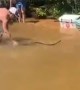 Friends on a Lake Visited by Large Water Snake