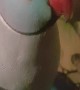 Indian Ringneck Loves His Bird Boops