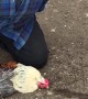 Rooster Hypnotized by Line