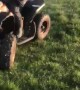 Boy Does Donuts on Mini Quad Bike