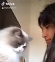 Cat Doesn't Want to Follow TikTok Trend