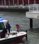 Saving a Deer that Jumped into the Hudson River