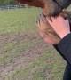 Horse Has Her by the Hair