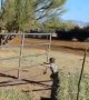 Kiddo Learns Lesson on Why Not to Run While Pushing a Gate