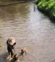 Momma Moose and Babies Enjoying the River