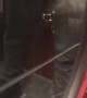 Train Doors Cause Anxious Ride for Purse Owner