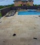 Car Slams Through Fences and Skims Across Pool