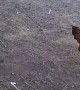 Chicken Swing Catapult