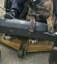 Dog Comes Along for a Lawn Mower Ride