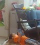 Little boy plays with tablet while lying on top of Golden Retriever