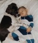 Dog and Baby Snuggling While Sleeping
