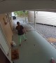Great Dane Chases Delivery Man