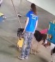 Dog Goes Potty in Mop Bucket