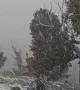 Thunderstorm Brings Down Heavy Snow