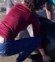 Rescuing a Beached Pilot Whale Calf