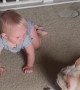 French Bulldog Playing with Baby Sister