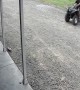 Forklift Stuck in the Mud Won't Move