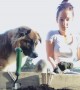 Doggy Helps Dig in the Garden