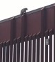 Raccoon Stuck on Boarder Wall