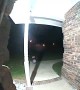 Intruder Slithers Past Doorbell Camera