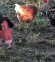 Chicken Shows off Her New Pants