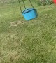 Horse Walker Makes Great Kiddy Swing