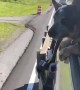 Blue Heeler Pup Chomps at Cones During Drive