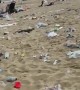 Bournemouth Beach visitors leave their garbage everywhere