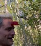 Bird Feeds From Forehead