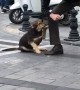 Man Gives Love to a Stray Dog