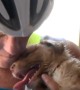 Cyclist saves puppy in distress off hot desert road In Arizona