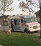 Patient pup waits his turn at the ice cream truck