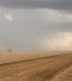 Farmers Don't Take Time Out for Tornado
