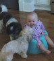 Babies And Puppies