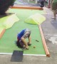 Holey Moley Mini-Golf