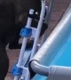 Max Climbs Pool Ladder for a Dip