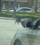 Officer and Horse Take a Tumble at Intersection