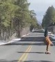 Man Handstands on Longboard down Grand Canyon Roadway